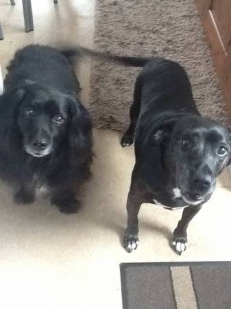 Murphy and Brodie xx
