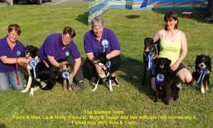 Second Chance Kennels