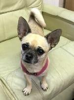 Rosie xx (Chug)