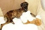 Milly ( Waiting Patien...