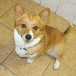 Rusty