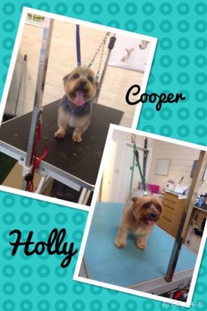 Holly & Cooper xx