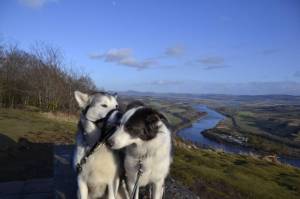 Second Chance Kennels