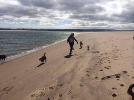 Lily ( was Fern ) on the beach xx