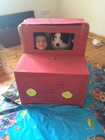 Bailey ( collie) and his pal Oscar xx 