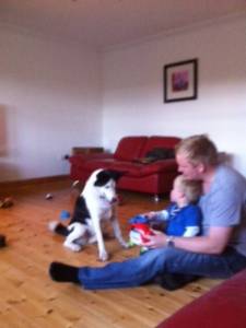 Bailey Collie.