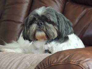 Molly xx