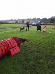 Second Chance Kennels