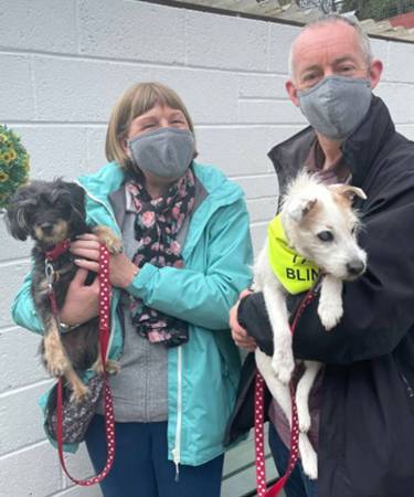 Visitors to kennels