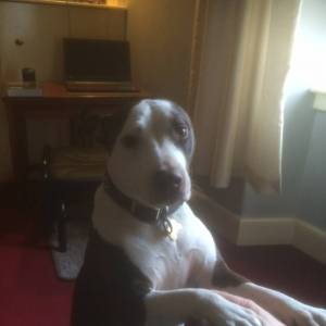 Penny xx