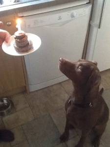 Humphrey's birthday.