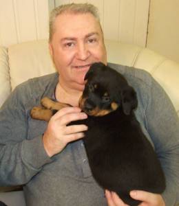 Perno Rottie puppy.