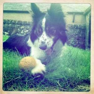 Raffa ( was Bryn about five years ago)