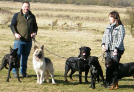 Alfie,Tara,Brooke,Disney & Bonnie