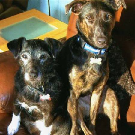Sox & Mollie