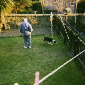 Second Chance Kennels
