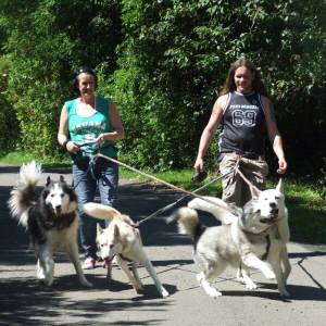 Second Chance Kennels