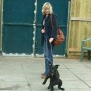 Second Chance Kennels