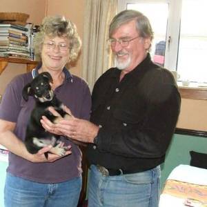 Second Chance Kennels