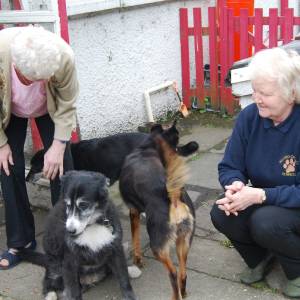 Glen,Sheba,Susie & Kaiya