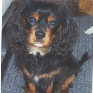 Charlie