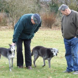 Second Chance Kennels