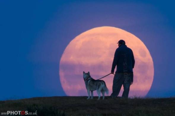 Nanook and her dad Charlie xx