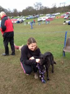 Agility at Camperdown Park.