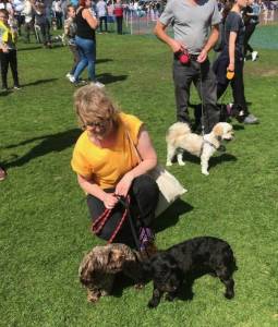 BARK in the PARK 2018 