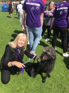 BARK in the PARK 2018 