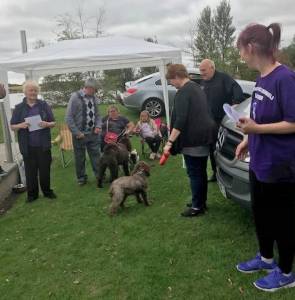 BARK in the PARK 2018 