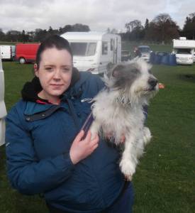 Doggy day out Agility Scone Palace