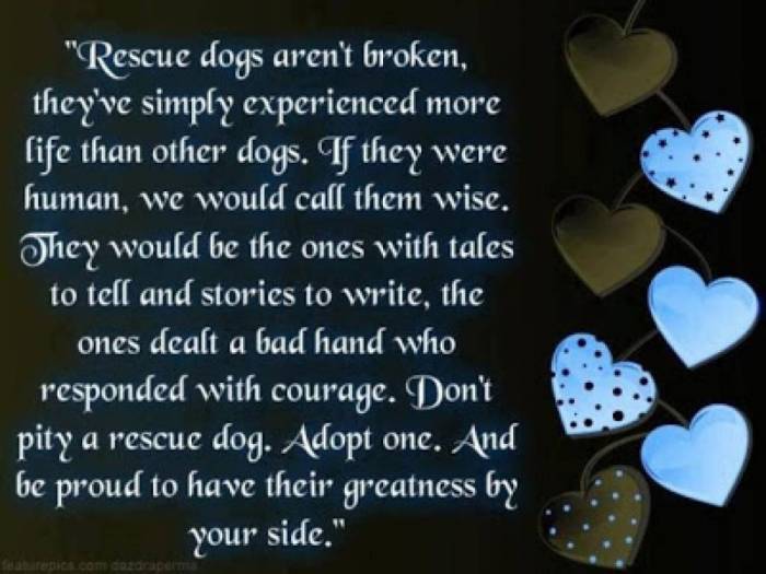 This is so very true x