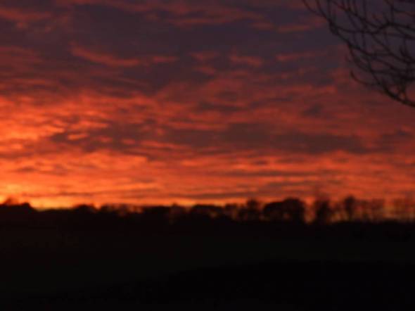 Evening sky line at the kennels.