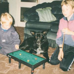 Our Beloved Tess