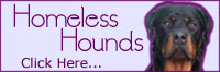 Homeless Hounds
